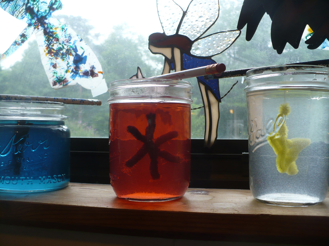 The Enchanted Tree Growing Crystals.