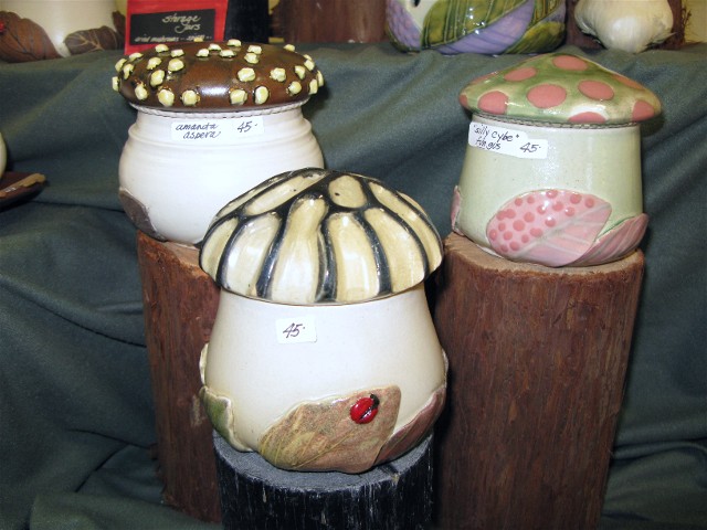 [fungi+fair+002.jpg]