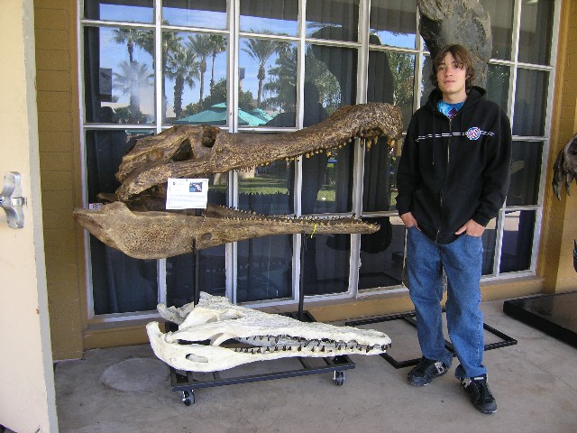 [crocodille+skull.JPG]