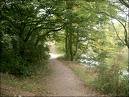 [nature+12.bmp]