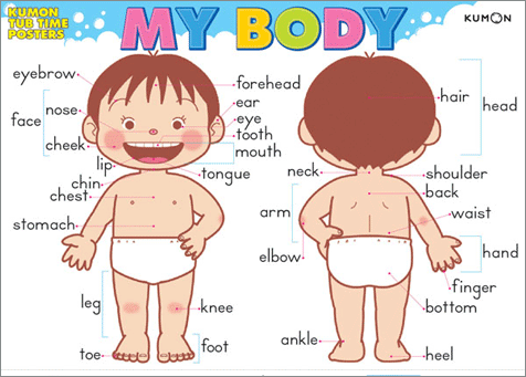 Body on English Resources For Teachers  Body