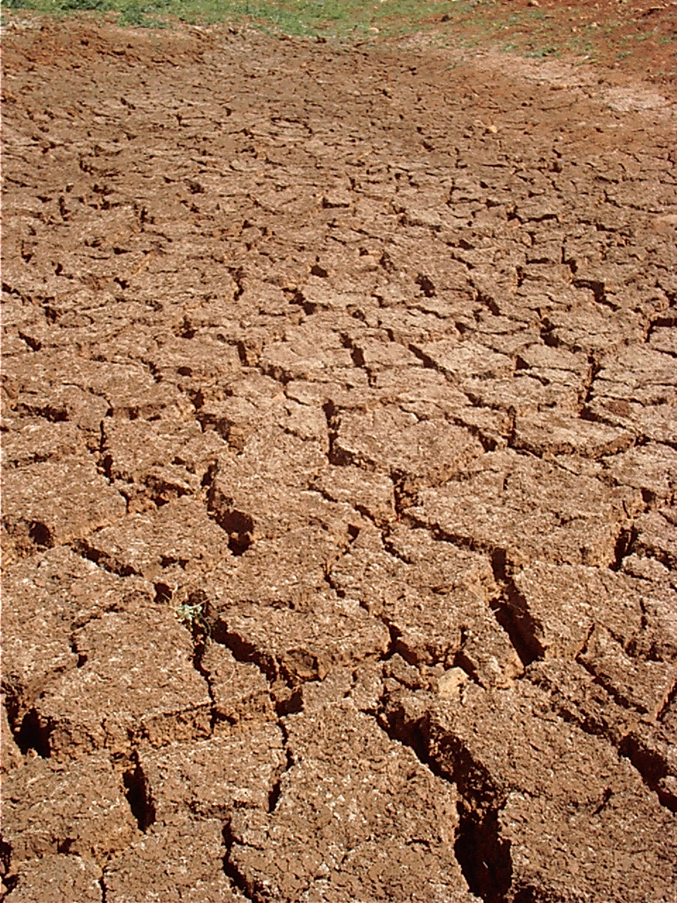 [dry.drought..JPG]