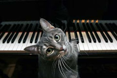 El gato de  Beethoven