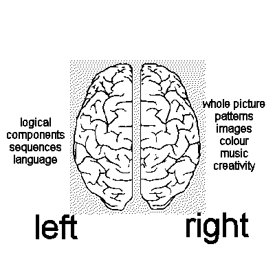 Brain Both Sides