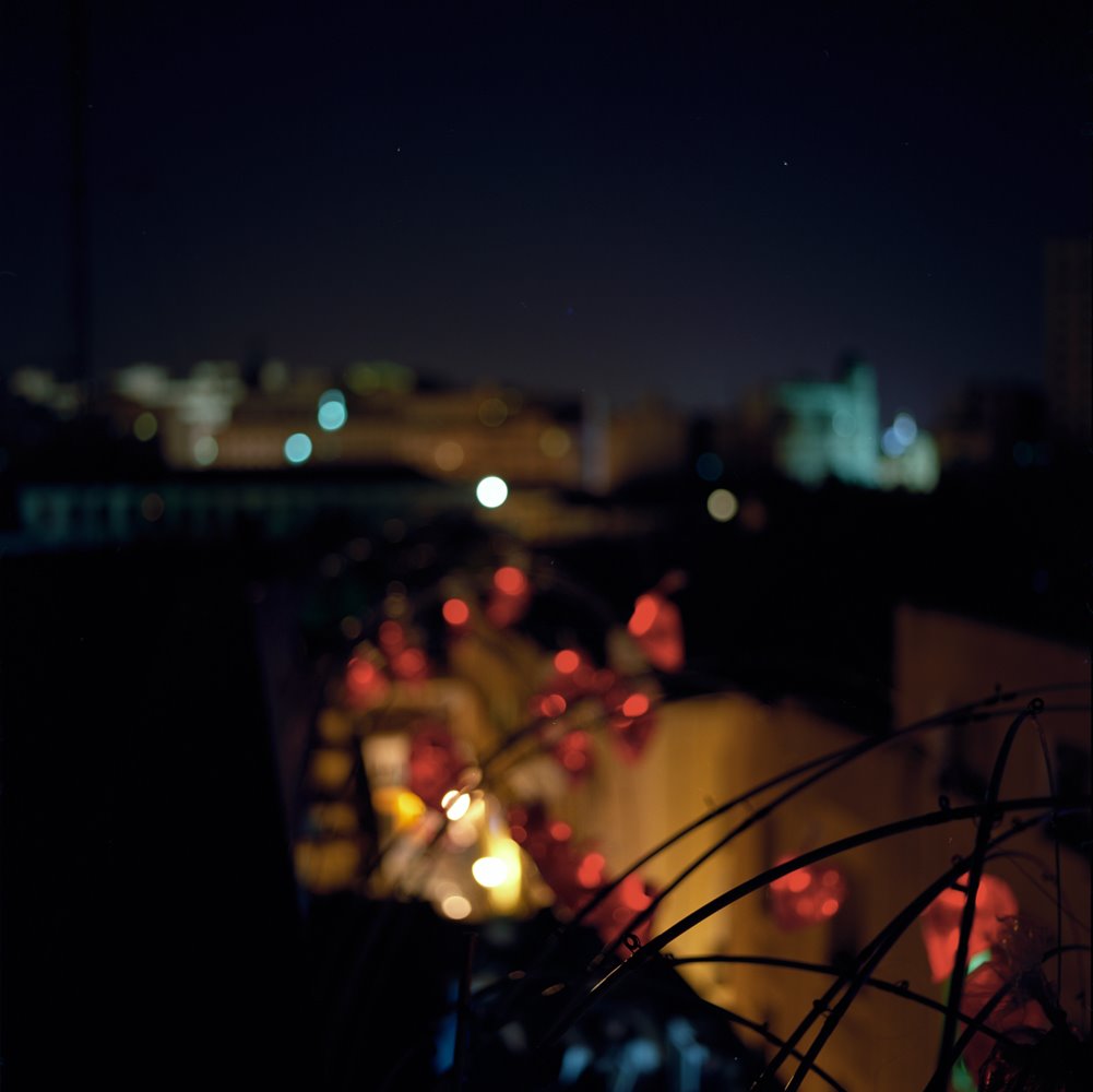[Image531.jpg]