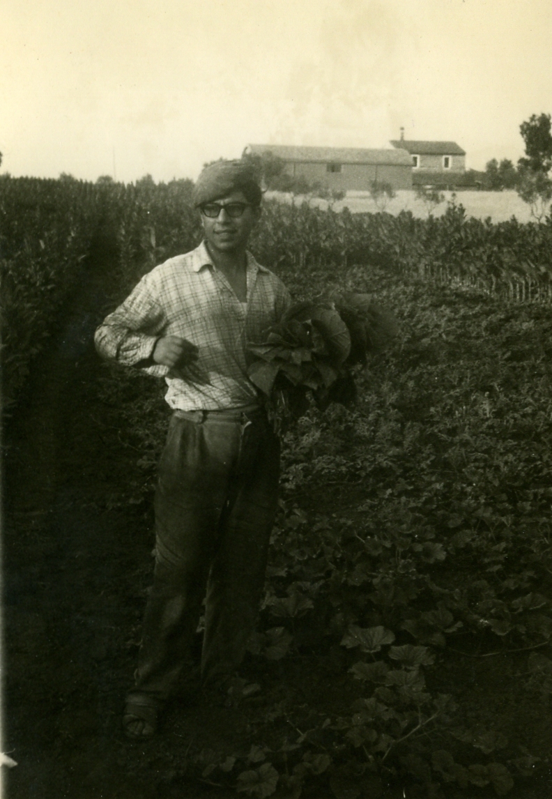 [1968+alfredo.jpg]