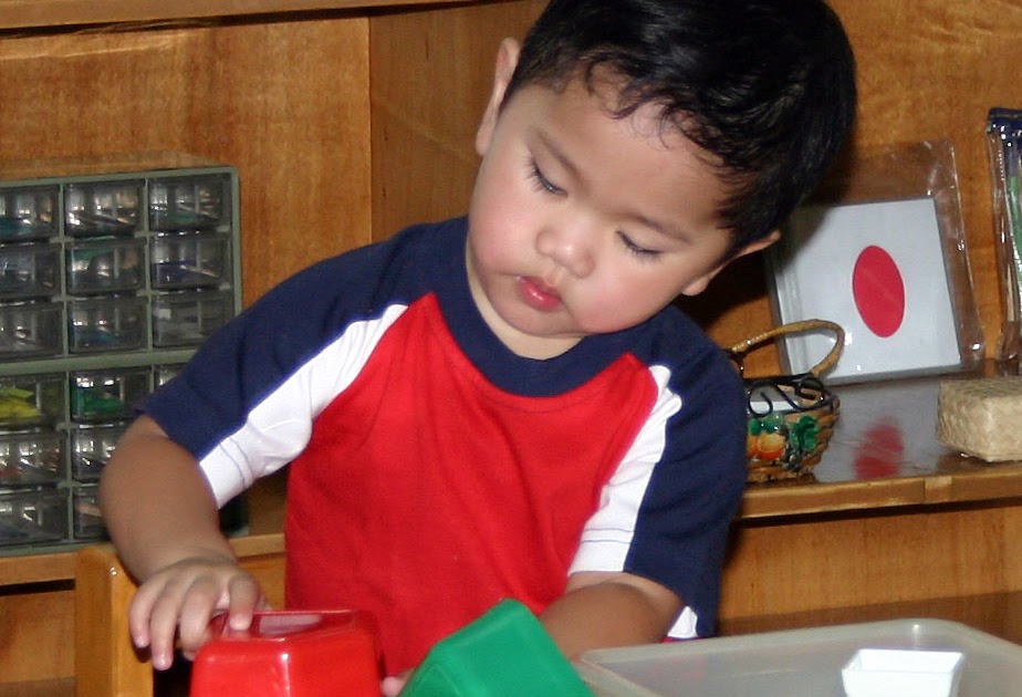 Montessori elementary school image