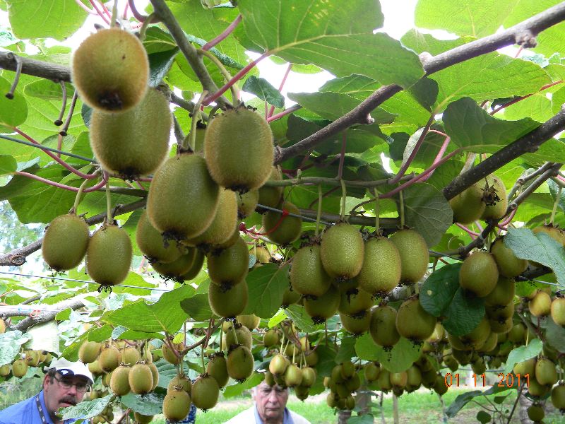 404 (Page Not Found) Error Ever feel like you're in the wrong place?