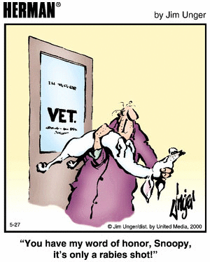 FOOTROT FLATS 27 FOOTROT FLATS 27
