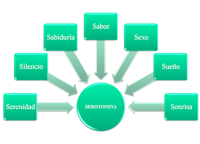 http://4.bp.blogspot.com/_I6k4eV463p4/SQsJxPxCmOI/AAAAAAAABPg/GeOtnroUnxI/s400/Imagen1.png