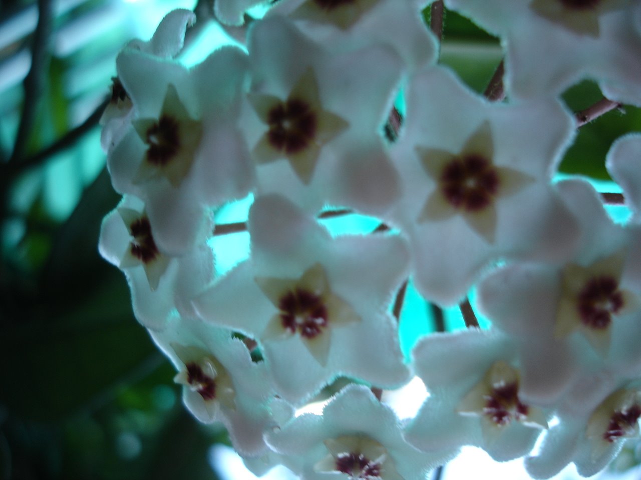 [DSC06117.JPG]