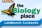 [bioplace_labbench_contents.gif]