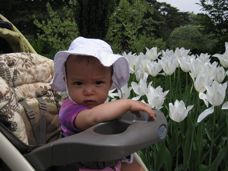 At the Bronx Botanical Gardens