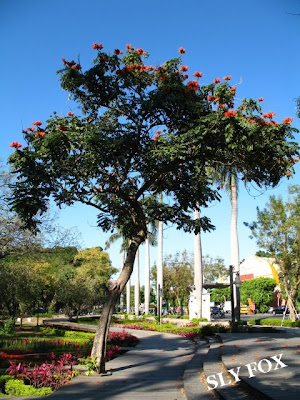 台南公園