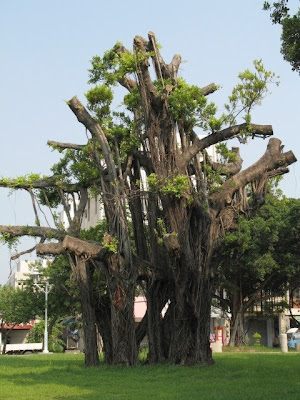 馬兵營