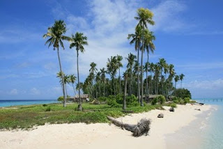 Wisata Pulau Pulau Mentawai di Lelang