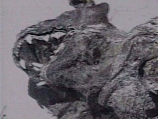 The Legend of El Chupacabra, Blood Sucking Dog