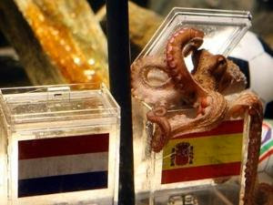 Paul The Octopus Dead