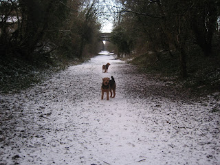 disused railway
