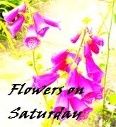 FLOWERS ON SATURDAY PHOTO CHALLENGE