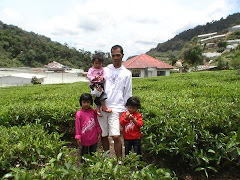 Ladang Teh