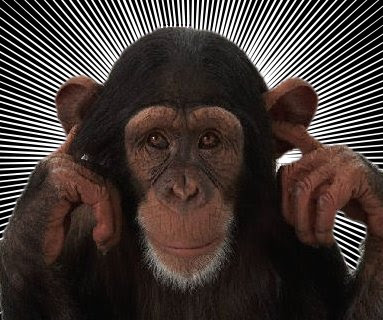 monkey listening