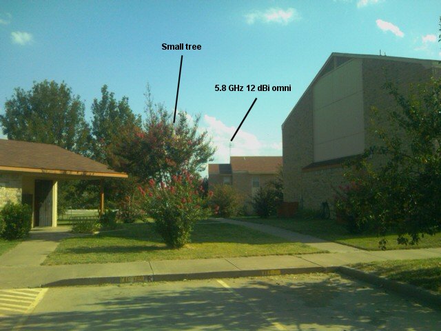 [5.8_tree_blockage1.jpg]