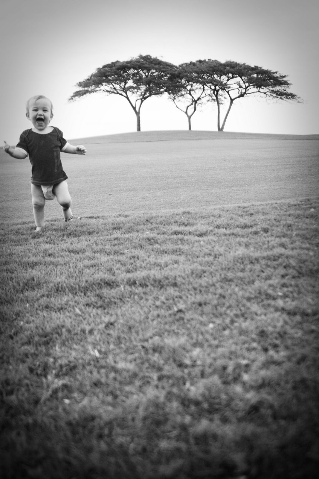 [willtreebwrunning.jpg]