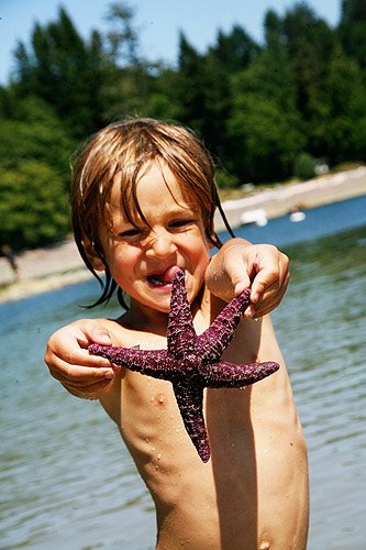 [samstarfish.jpg]