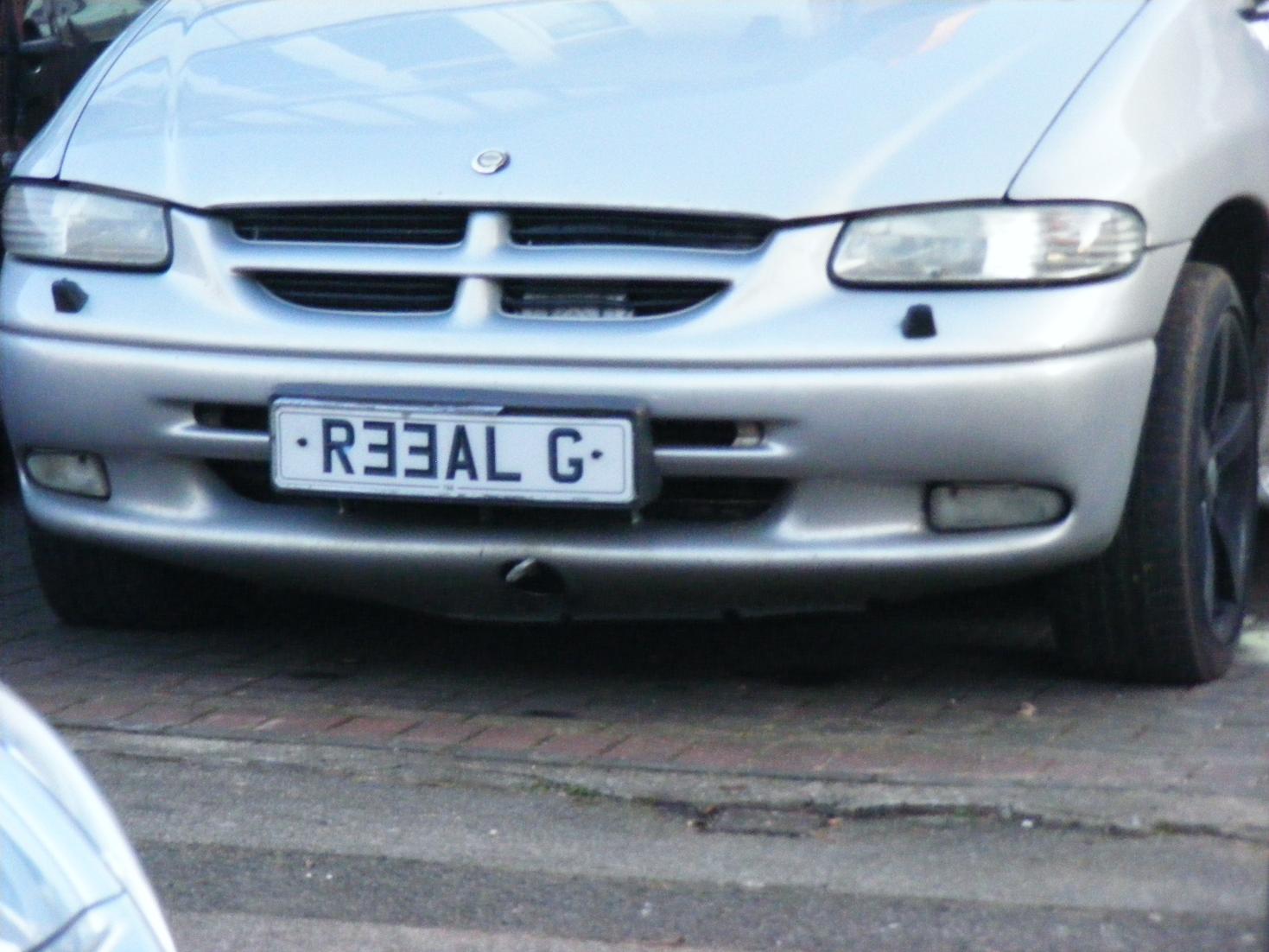 [REHAL.jpg]