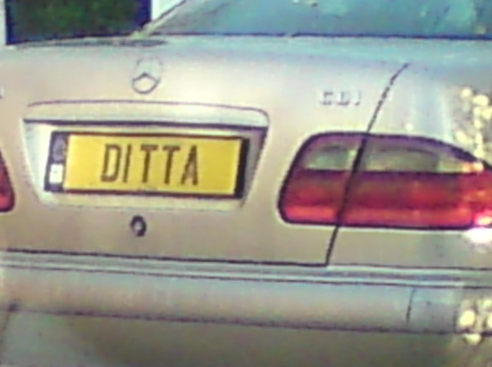 [DITTA.jpg]