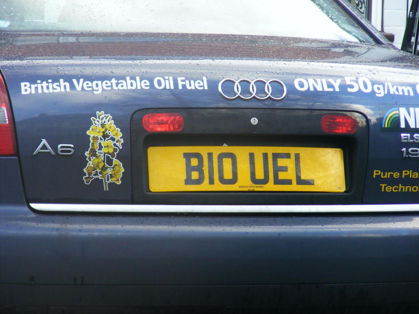 [BIOFUEL.jpg]