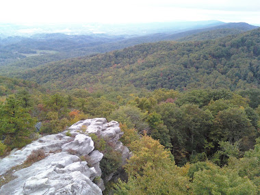 Birch Knob Tower