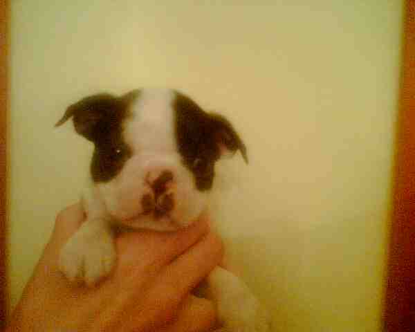 [bebeBTvbispus2.jpg]