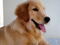 ALEXAS NOSTRANO DI MALGA