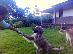 SALAMBEAU NOSTRANO DI MALGA