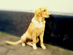 FRIDA NOSTRANO DI MALGA