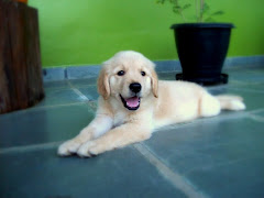 FRIDA NOSTRANO DI MALGA