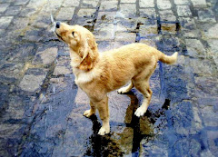 FRIDA NOSTRANO DI MALGA