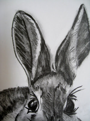 Chitravali: Pencil sketching of a Rabbit!!
