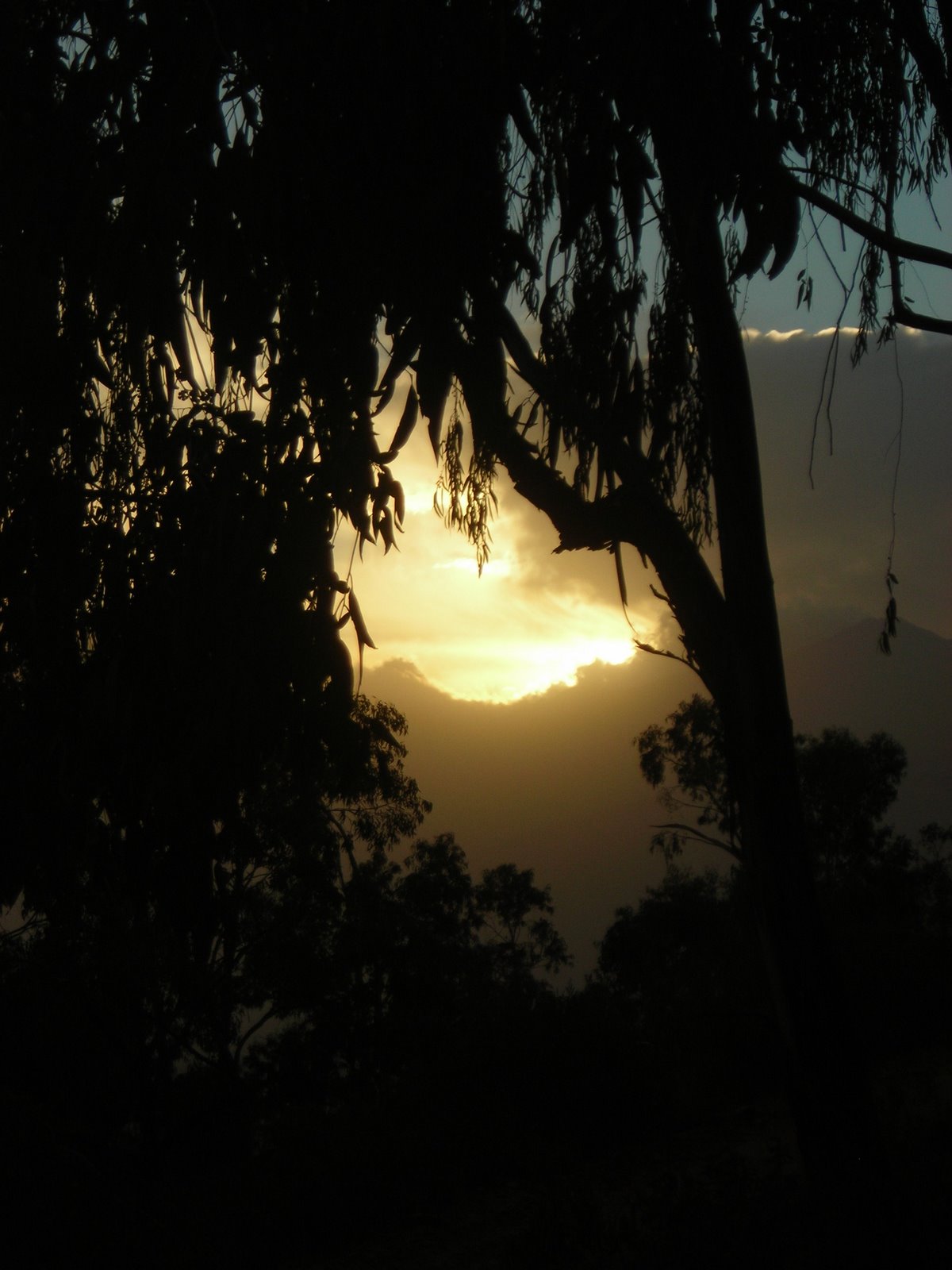 [sunset.JPG]