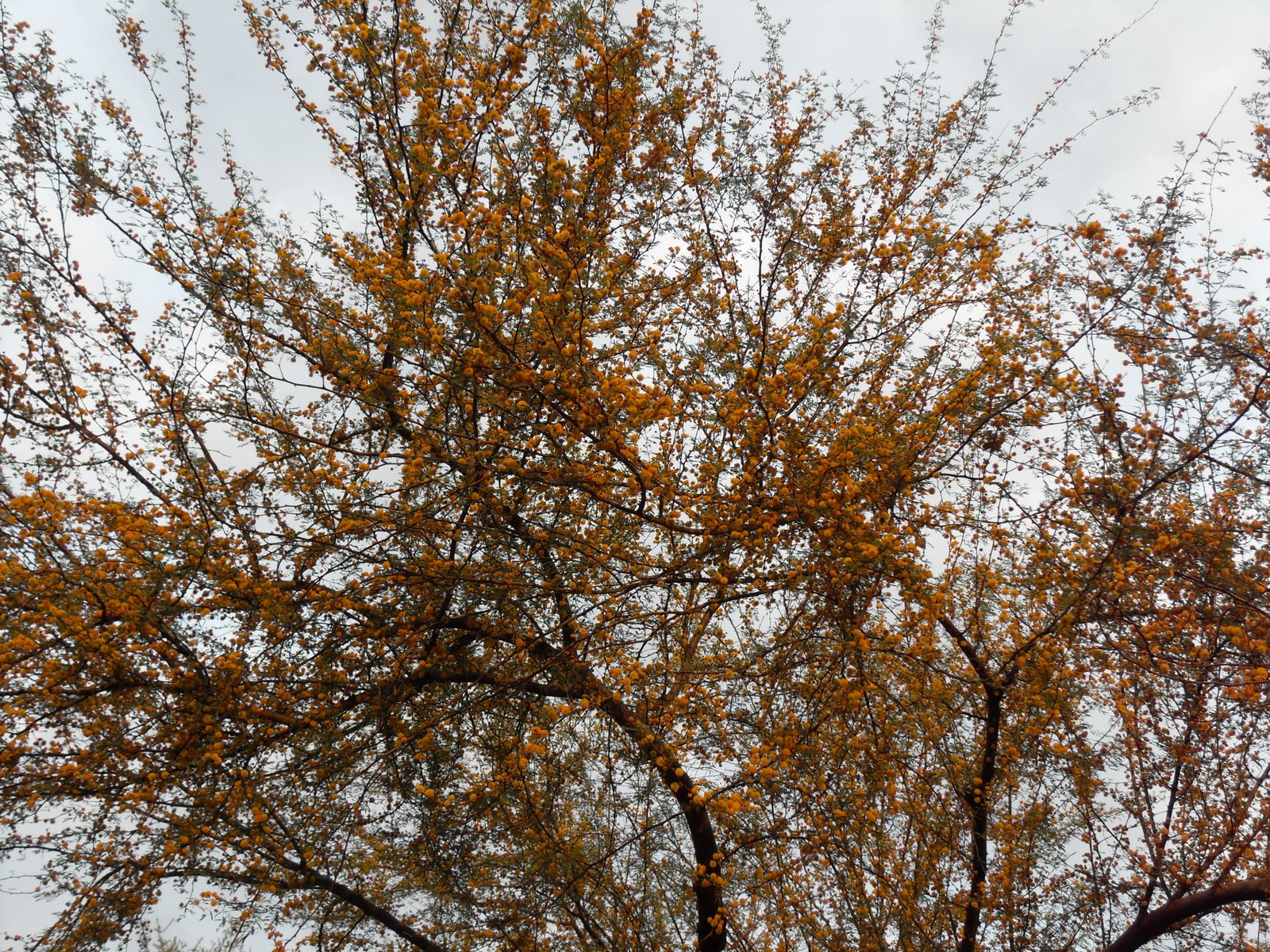 [SDC10795.JPG]