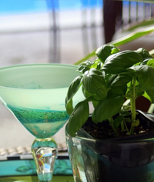 * Lime In The Coconut You put the lime in the basil and shake it all