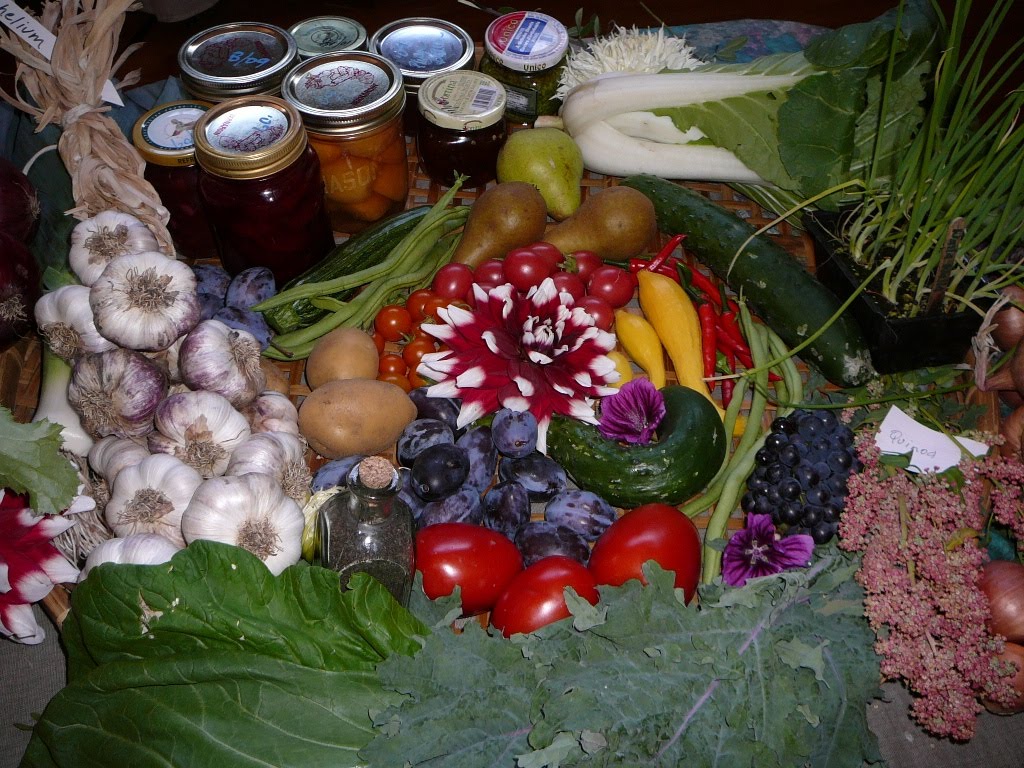 [cornucopia2.JPG]
