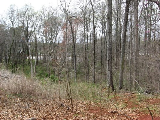 [Marsh+hillside+N+of+Millbrook_1_1.JPG]