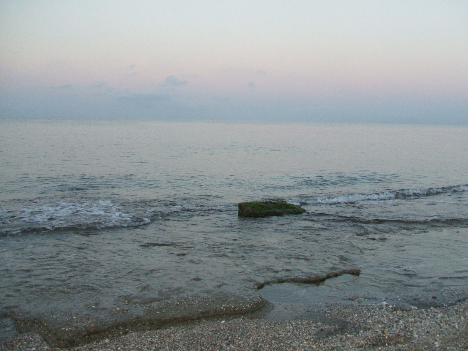 [DSCF0986.JPG]