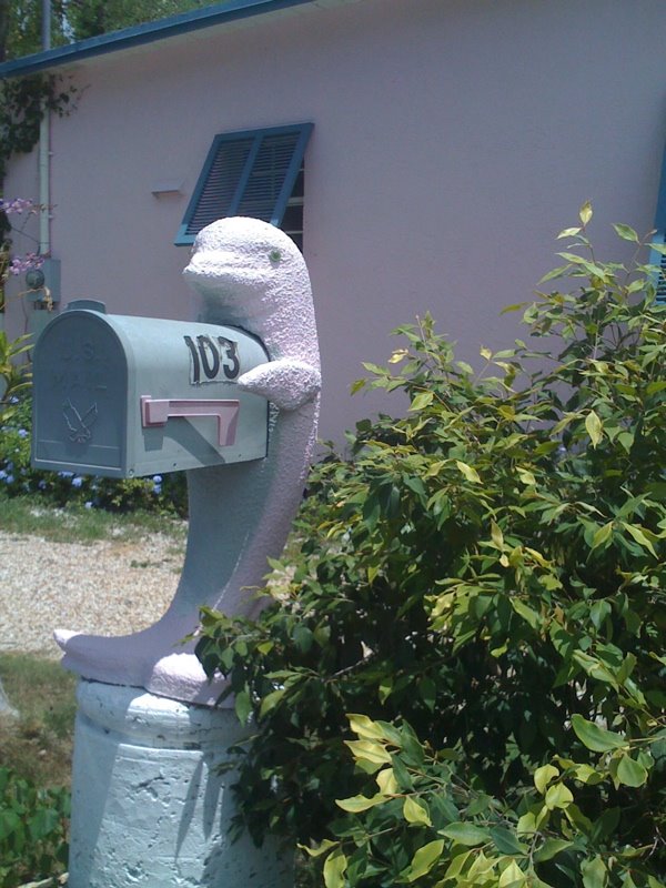 [key+dolphin+mailbox.jpg]