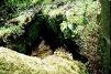 St Tewdrig's Well in Mathern near Chepstow