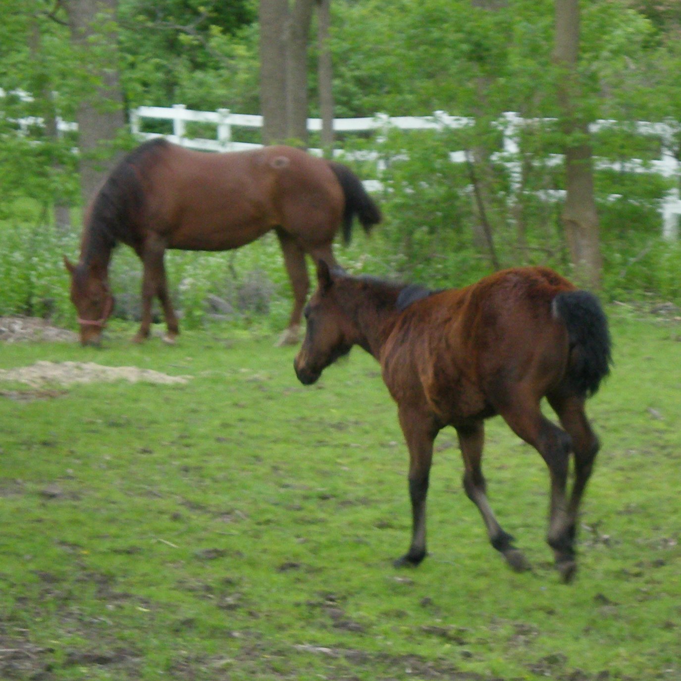 [05-18-2008++25.JPG]