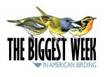 Biggest Week In American Birding